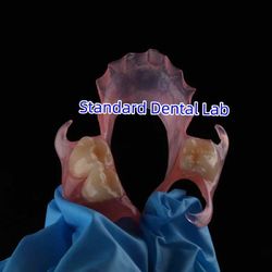 Standard Dental Lab Co., Limited สายการผลิตของผู้ผลิต