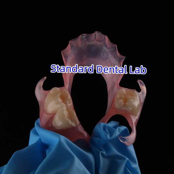Standard Dental Lab Co., Limited สายการผลิตของผู้ผลิต