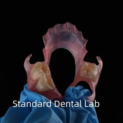ความสวยงามสูง ทันตแพทย์ TCS Valplast ฟักฟักส่วนยืดหยุ่น ทันตแพทย์ Lab สีชมพู