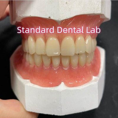 ฟันเทียมครบบนและล่าง อะคริลิคฟันเทียมส่วนหนึ่ง ฟัน Ivoclar ยําสีชมพู