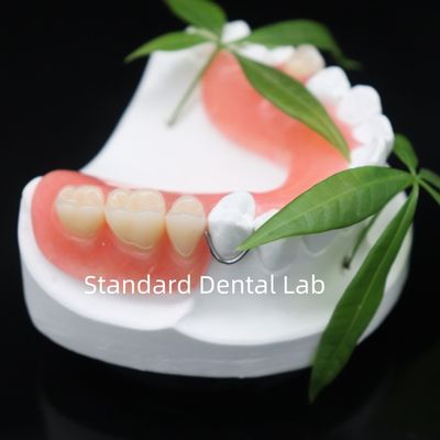ความสวยงามสูง Dentsply Lucitone 199 แอคริล แอคริล ธ อร์สําหรับแอคริล แอคริล