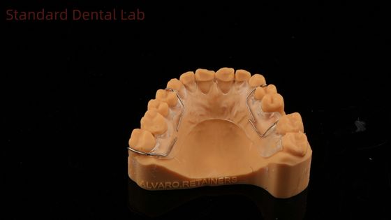 Perfect Fit Germany Ortho Teeth Halley Retainer สําหรับความสวยงามและการปรับความเรียบร้อย
