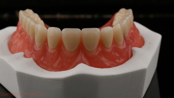 Dentsply Lucitone 199 ปริมาณฟันแอคริลิคสําหรับการดูที่ธรรมชาติ