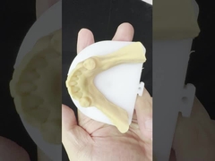 โลหะสลักส่วนหนึ่ง โคบาลต์ โครม ฟันเทียม Ivoclar Scheftner สบาย โลหะ Framewrok