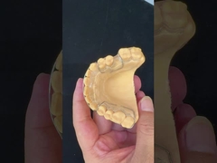 Perfect Fit Germany Ortho Teeth Halley Retainer สําหรับความสวยงามและการปรับ